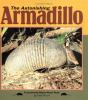 The_astonishing_armadillo