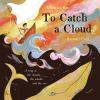 To_catch_a_cloud
