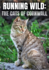 Running_Wild__The_Cats_of_Cornwall