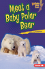 Meet_a_baby_polar_bear