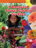 A_backyard_flower_garden_for_kids