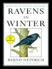 Ravens_in_Winter