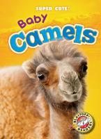 Baby_camels