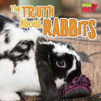 The_truth_about_rabbits