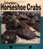 Extraordinary_horseshoe_crabs