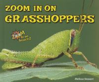 Zoom_in_on_grasshoppers