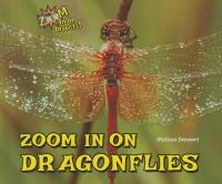 Zoom_in_on_dragonflies