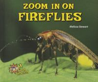 Zoom_in_on_fireflies