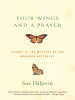 Four_Wings_and_a_Prayer