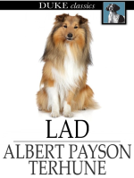 Lad__a_dog