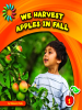 We_harvest_apples_in_fall